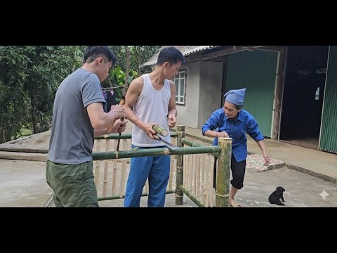 Nhuong and Hoang built a dog kennel. The 70-year-old mother went fishing for the cats and puppies.