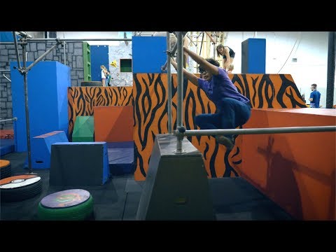 Animall of the Jungle - Ninja O