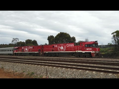 NR109 + NR74(Ghan locos)