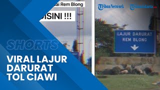 Viral Penampakan Lajur Darurat Tol Ciawi yang Bikin Ngeri, Ternyata Lajur Sangat Pendek dan Landai