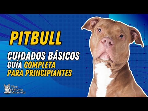 , title : '🐾🐶CUIDADOS PARA TU PITBULL'