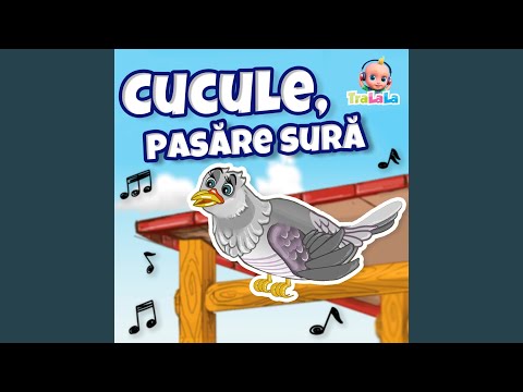 Cucule, pasăre sură