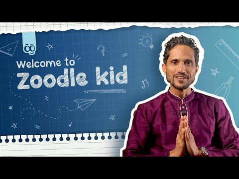 Zoodle Kid