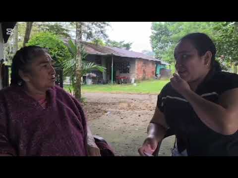 Entrevista Conflicto Armado En Miraflores Guaviare