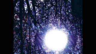 Six Organs Of Admittance - River Of Heaven