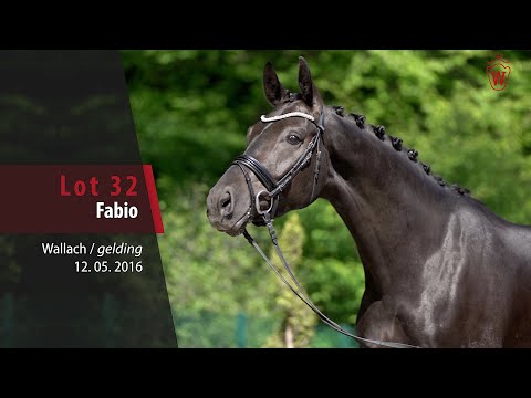 32 Fabio Wallach v. Fashion Maker - Rubinstein I