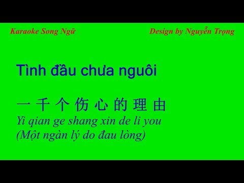 Karaoke Song Ngữ - Tình đầu chưa nguôi - 一千个伤心的理由 (1000 lý do đau lòng) (G Min)