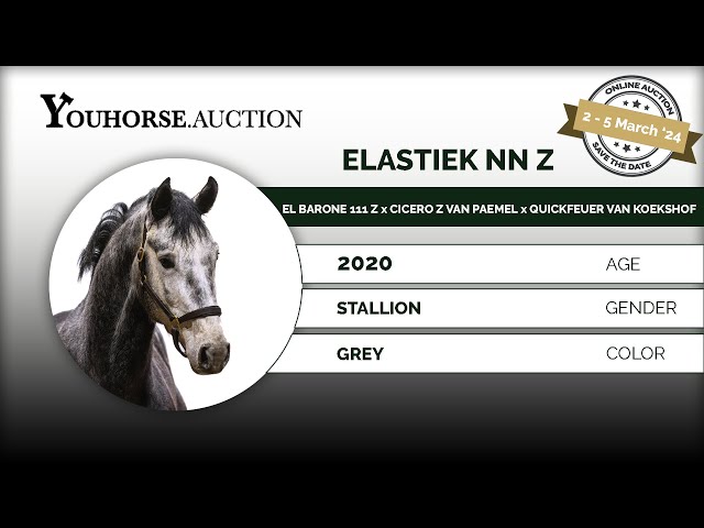 Elastiek NN Z