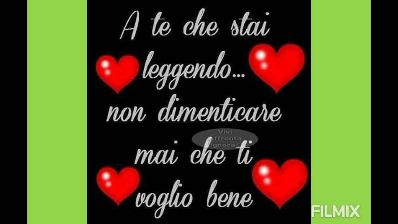 Ti voglio tanto Bene V221