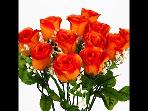 Skupina PROFIL -  výber najlepších slovenských ľudoviek