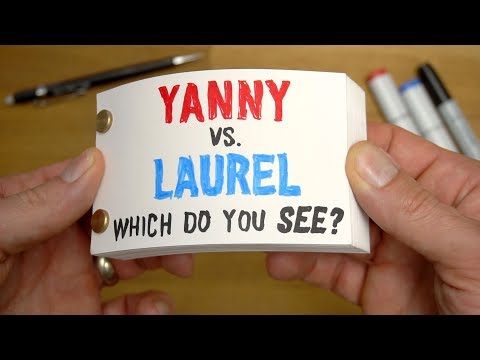 Yanny vs Laurel FLIPBOOK - Which do you SEE?