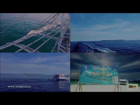 HDR 10 UNDERWATER VIDEO -PHILIPPINE ISLAND HDR 10 P Q VIDEO in compatible devices