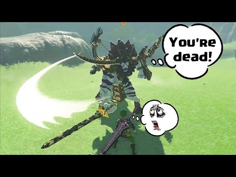 10 Ways to kill a Lynel