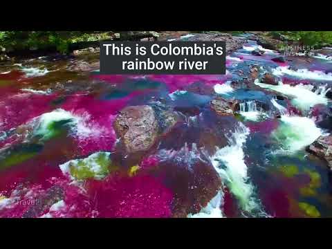 Caño Cristales — Río de los Siete Colores, Colombia