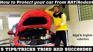 How To Avoid Rats In Car | HOW TO PROTECT CAR FROM RATS | RAT RODENT REPELLENT #ratrepellent #asvk