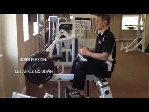 SEATED CALF RAISES