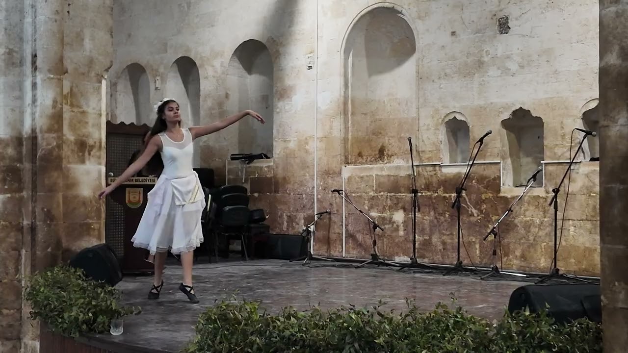 ŞANLIURFA’DA KOSOVA İLE KÜLTÜR VE SANAT BULUŞMASI DÜZENLENDİ