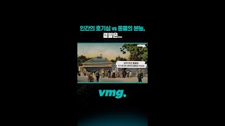 인간의 호기심 vs 동물의 본능, 결말은....  / 비디오머그 #shorts