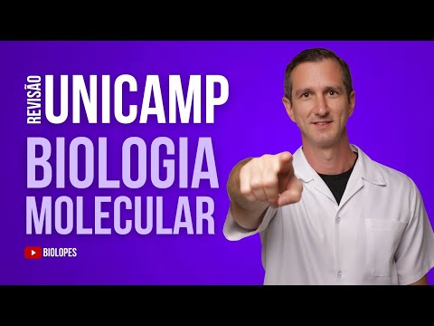UNICAMP 2023 - Como uso da biotecnologia, pesquisadores podem ligar a GFP a outras proteínas