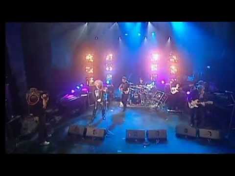 KRZAK - Wysoki Lot - 11.11.11