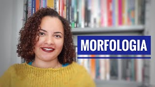 Morfologia | Níveis de análise linguística