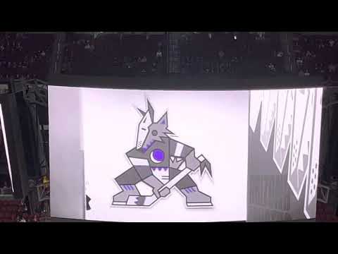 November 27, 2021 Arizona Coyotes vs Dallas Stars Intro Including Starting Lineup