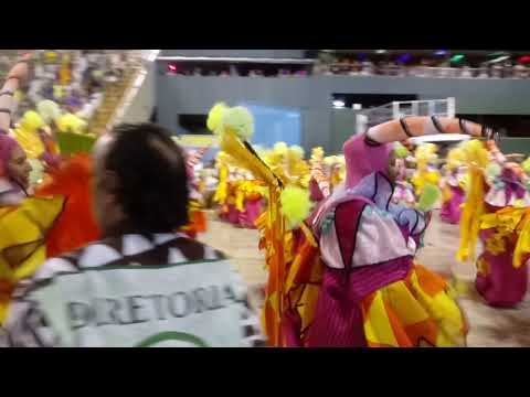 Cubango- Desfile 2019