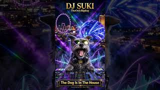 Download lagu DJ Suki In Da House mp3