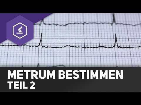 Metrum bestimmen - Teil 2