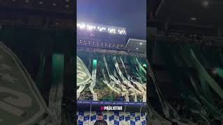 Festa linda da torcida do Verdão em Barueri! #PaulistãoCasasBahia