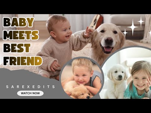 When your dog becomes the trusted nanny - Cute Moments Dog and Human #cutedogs #funnyanimals #dog 