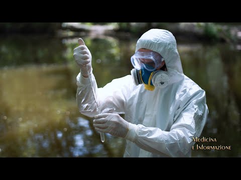 Inquinamento ambientale e rischi per la salute: che relazione c'è fra tumori del sangue e ambiente?