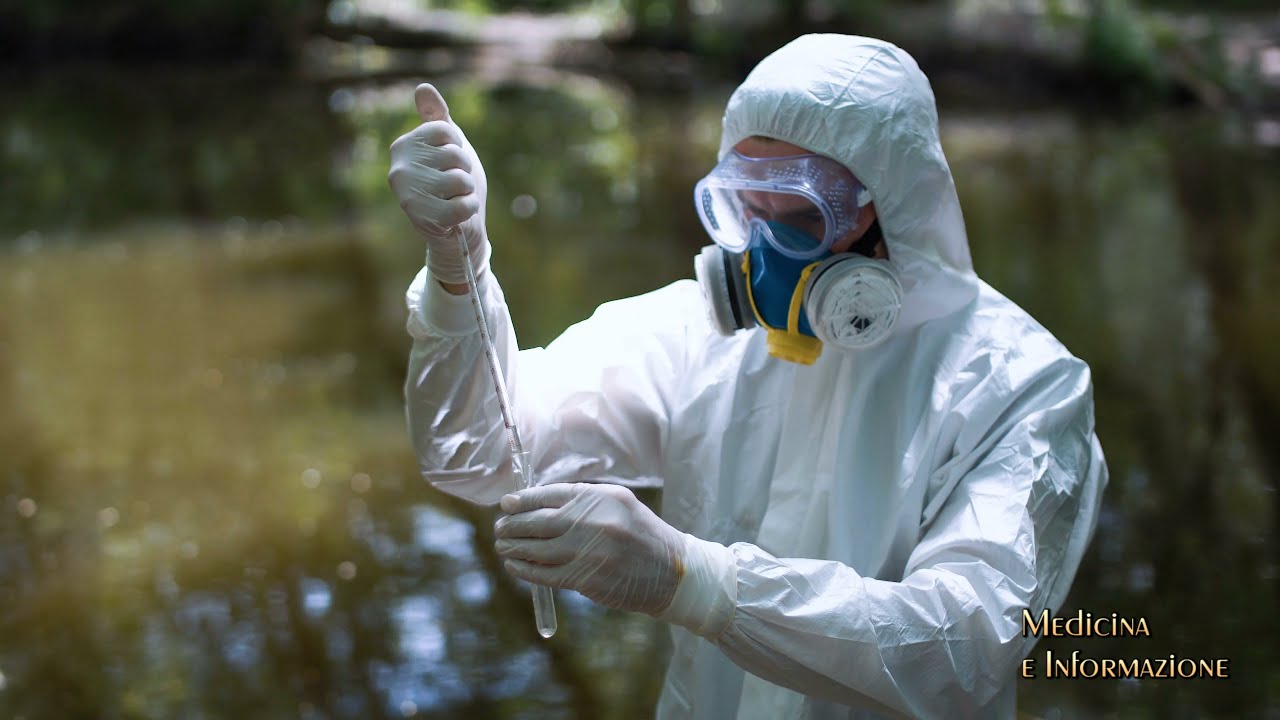 Inquinamento ambientale e rischi per la salute: che relazione c'è fra tumori del sangue e ambiente?