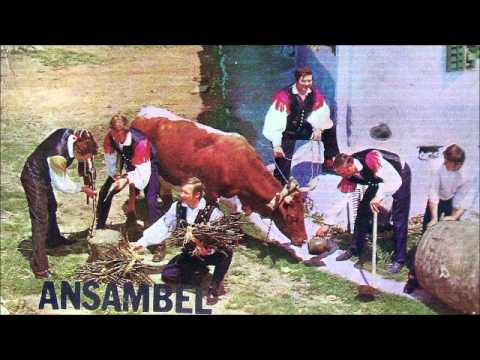 Ansambel Vandrovček - Na gostiji, polka