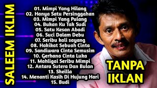 Download lagu Full Album Saleem Iklim Malaysia - Lagu Malaysia Lama Populer mp3