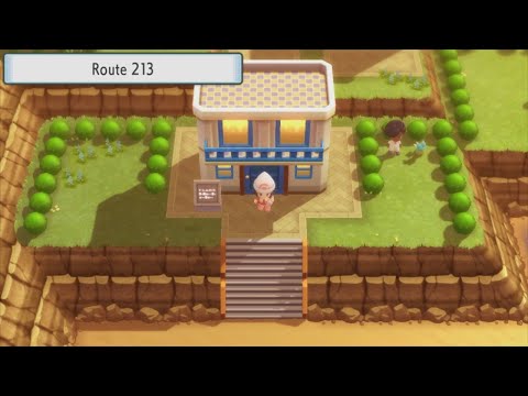 Pokémon Brilliant Diamond - 74 - Route 213 (1/2)