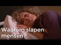 Waarom slapen mensen? | Het Klokhuis