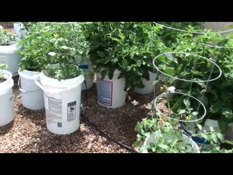 How To Make A 5 Gallon Bucket Garden Mp3 Free Download