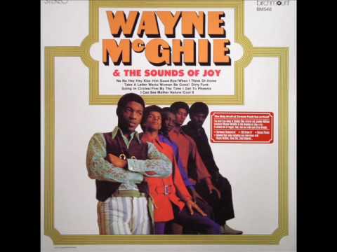 Wayne Mcghie & The Sounds Of Joy-dirty funk