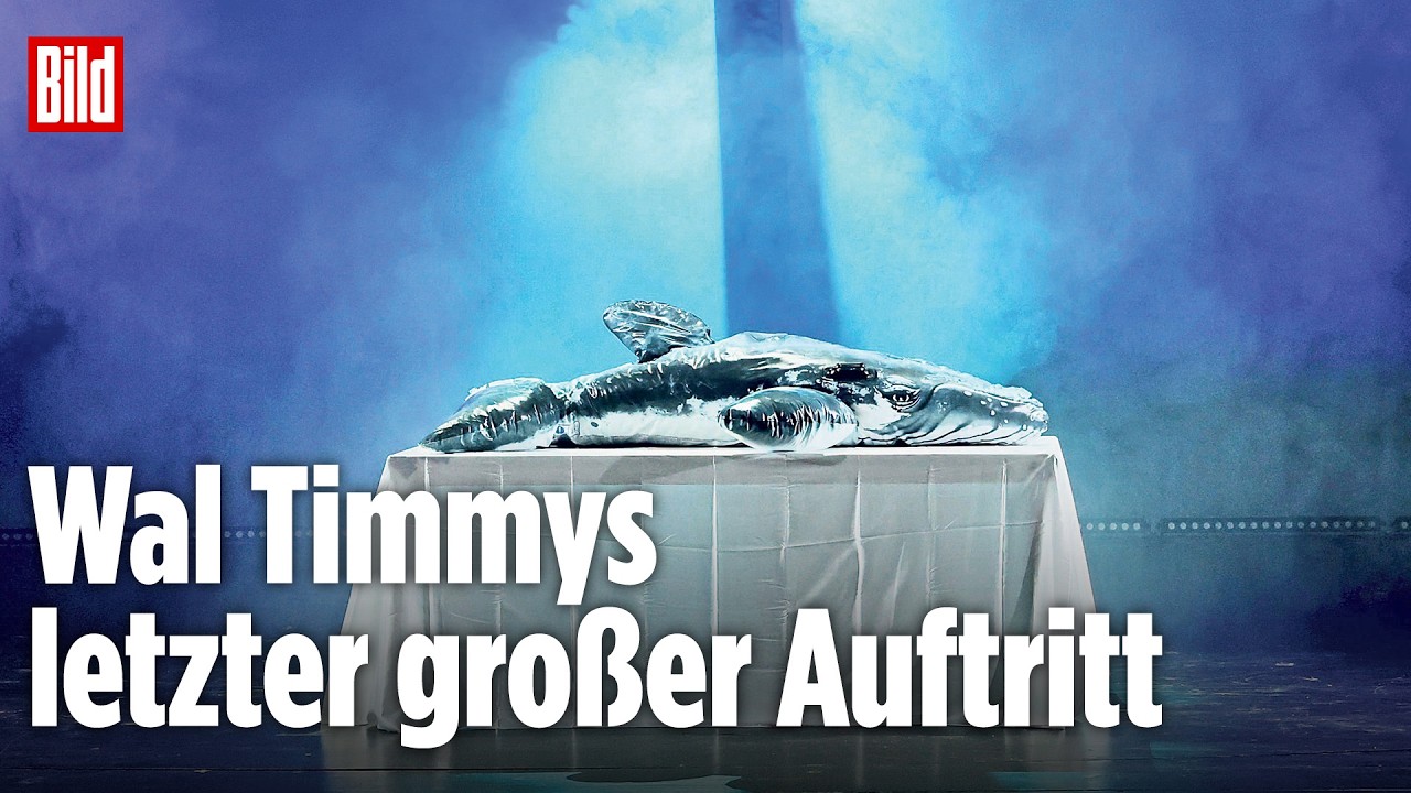 Buckelwal bekommt Theaterstück: BILD-Reporter bei „Timmy, Die Hope stirbt zuletzt“