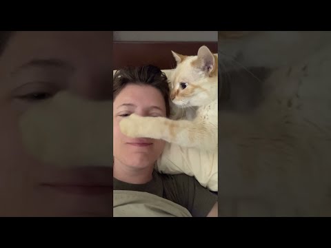 הנשיקה החמודה הזאת היא הוכחה שגם חתולים מעניקים אהבה!