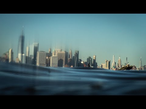 afbeelding Festival Trailer