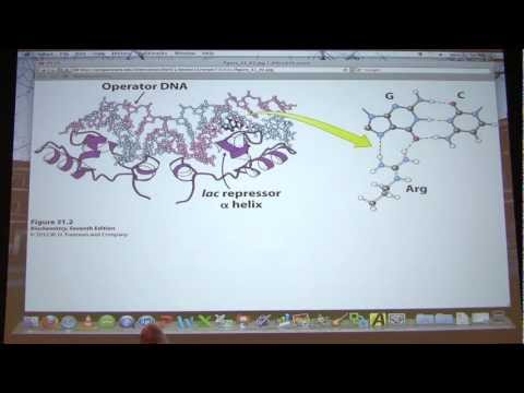 #49 Biochemistry Translation III/Gene Expression I Lecture for Kevin Ahern's BB 451/551