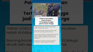 VIRAL Pelaku Penculikan Anak di Garut Tertangkap hingga jadi Amukan Warga