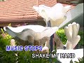 Shake My Hand