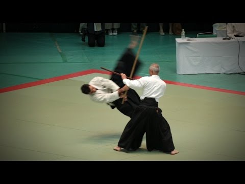 Aikikai Aikido - Inagaki Shigemi Shihan - 54th All Japan Aikido Demonstration (2016)