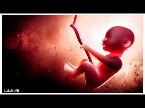 Takie dźwięki słyszy dziecko w brzuchu mamy |  Usypiający Dźwięk Dla Dzieci 🤍 | 10 GODZIN |