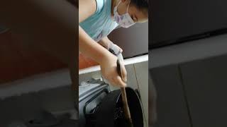 Día de la Santandereanidad