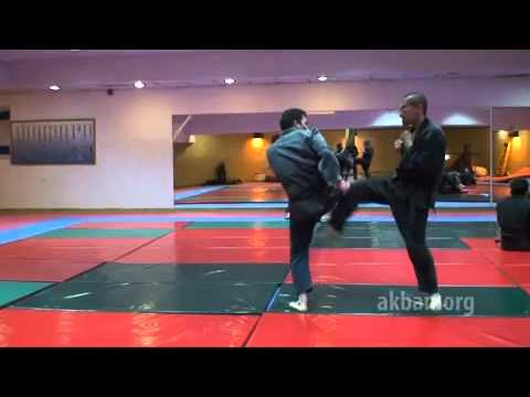 Renyo no kata   1st level Gyokko ryu for Akban wiki