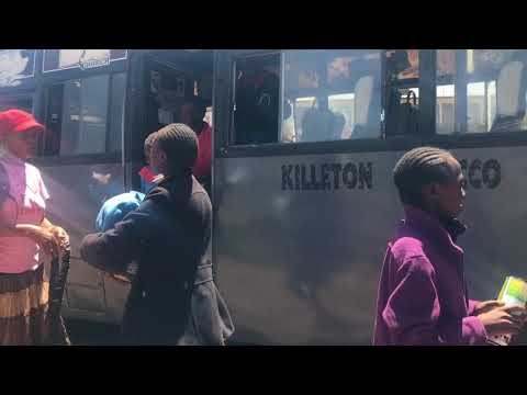 "Hands in the Air" by Pilocka Krach feat. One Fine Day Music Kids